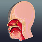 医療・化学・論文イラスト